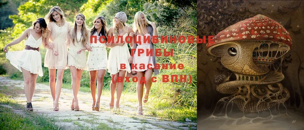 марки lsd Нязепетровск