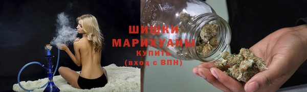 PSILOCYBIN Вязники