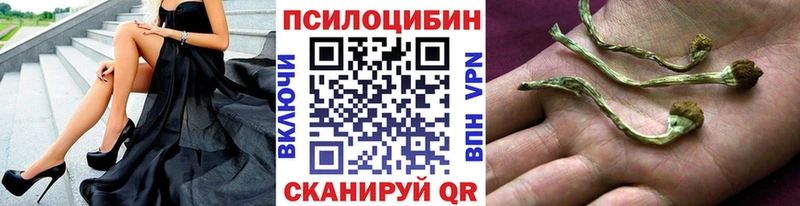 наркошоп  Заринск  kraken онион  Галлюциногенные грибы прущие грибы 